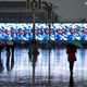 Image for article titled China's Virtual Sunrise Story Called "Bullsh**t"